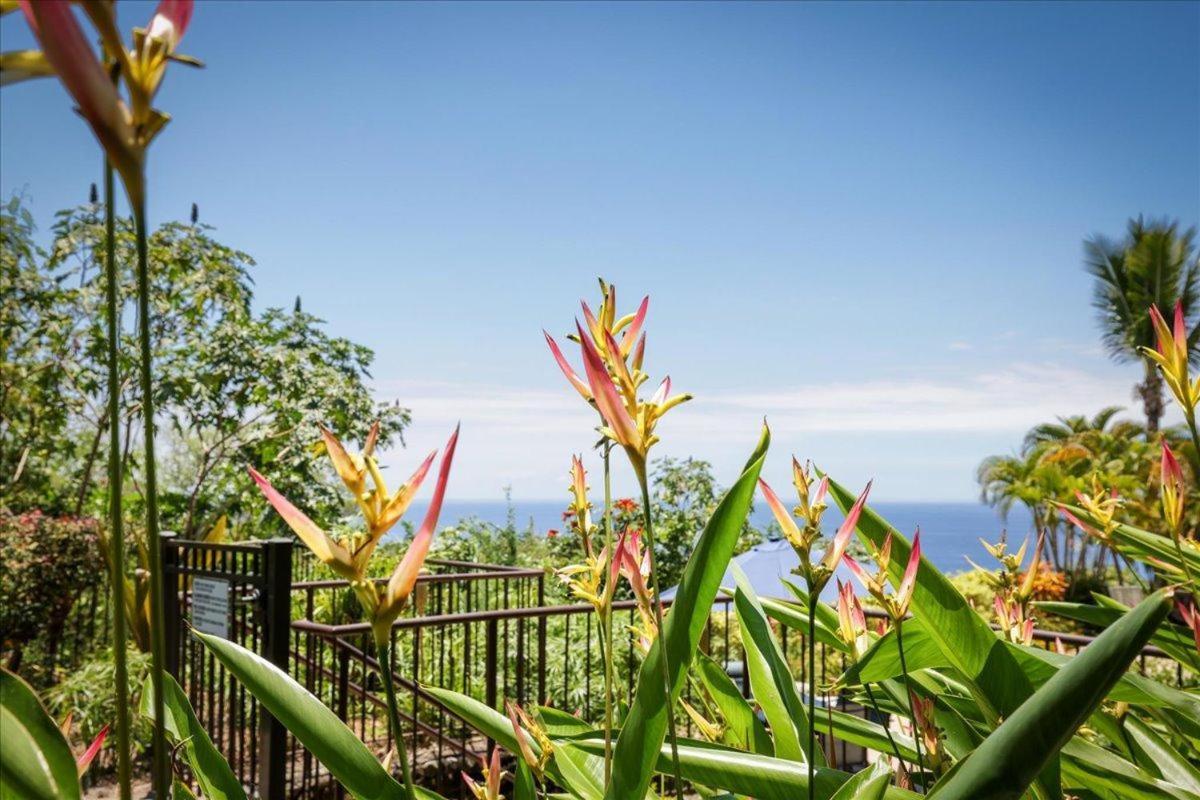 הוילה קאילואה-קונה Kona Westwind 1 New! Quiet Ocean-View 1St Floor | Patio | Pool מראה חיצוני תמונה