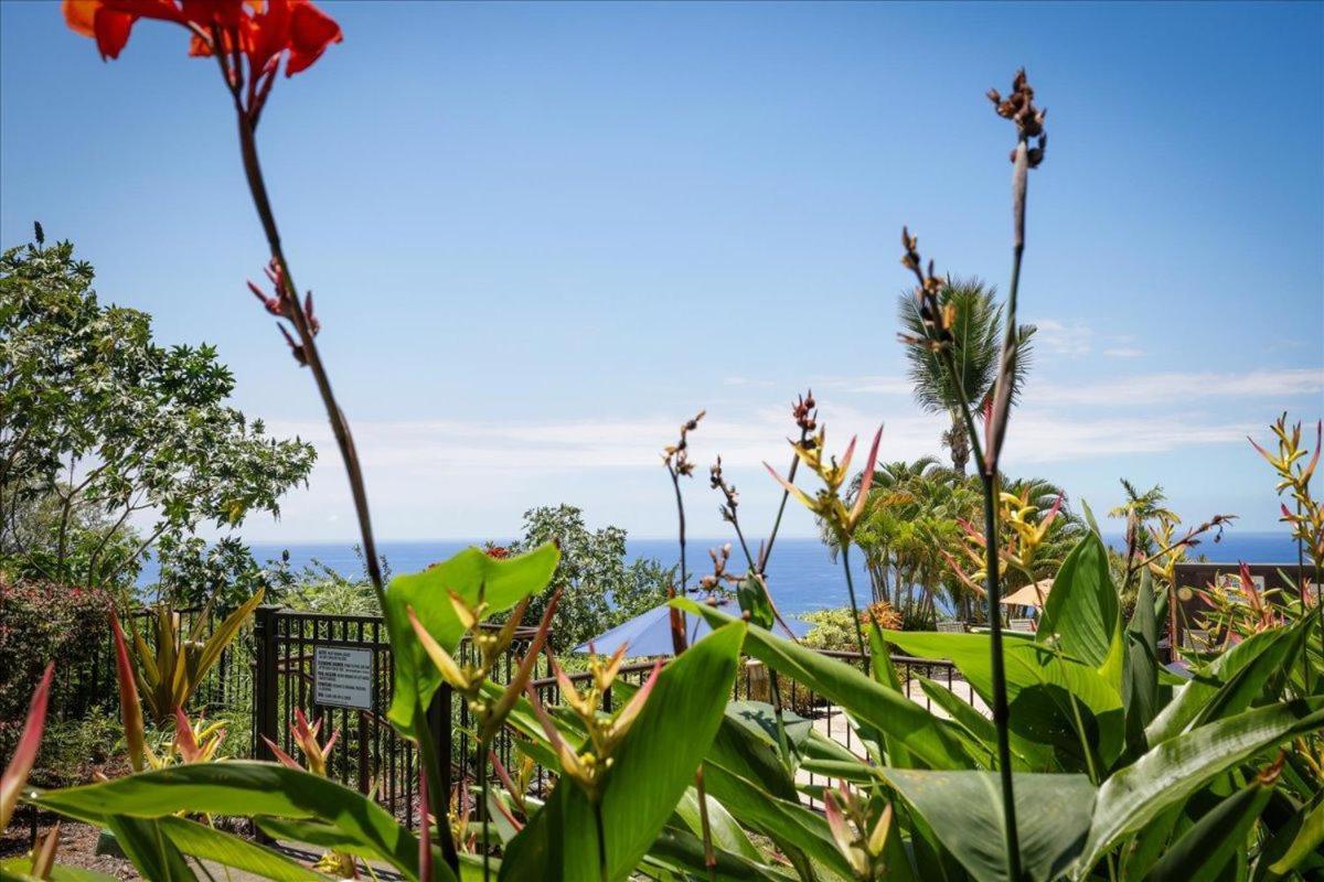 הוילה קאילואה-קונה Kona Westwind 1 New! Quiet Ocean-View 1St Floor | Patio | Pool מראה חיצוני תמונה